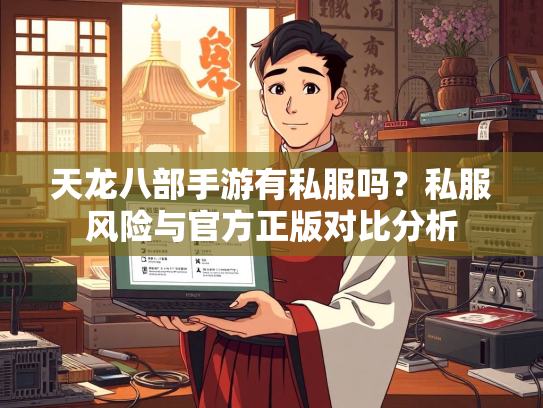 天龙八部手游有私服吗？私服风险与官方正版对比分析