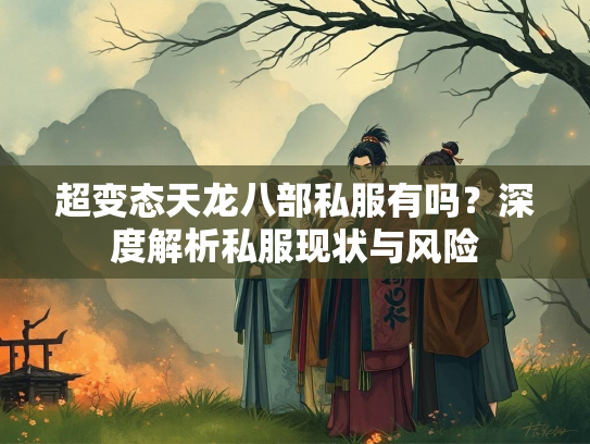 超变态天龙八部私服有吗？深度解析私服现状与风险