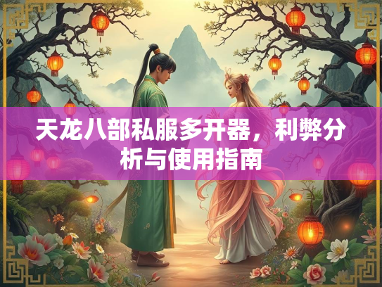 天龙八部私服多开器，利弊分析与使用指南