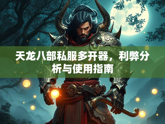 天龙八部私服多开器，利弊分析与使用指南