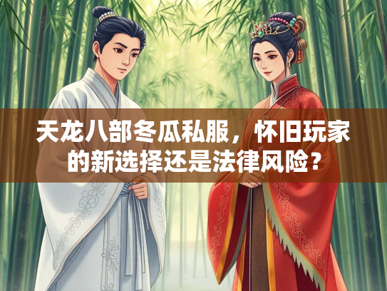 天龙八部冬瓜私服，怀旧玩家的新选择还是法律风险？  第1张