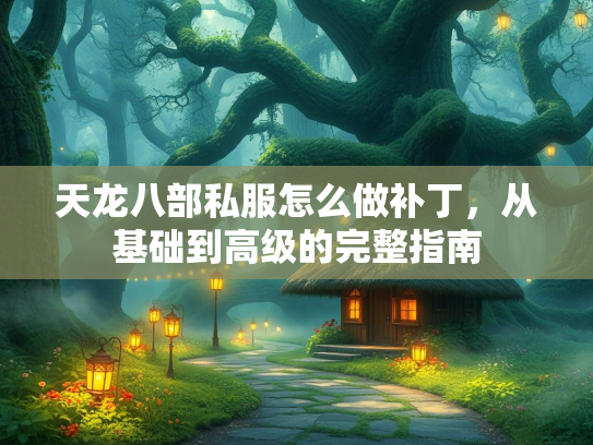 天龙八部私服怎么做补丁，从基础到高级的完整指南