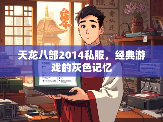 天龙八部2014私服，经典游戏的灰色记忆  第2张