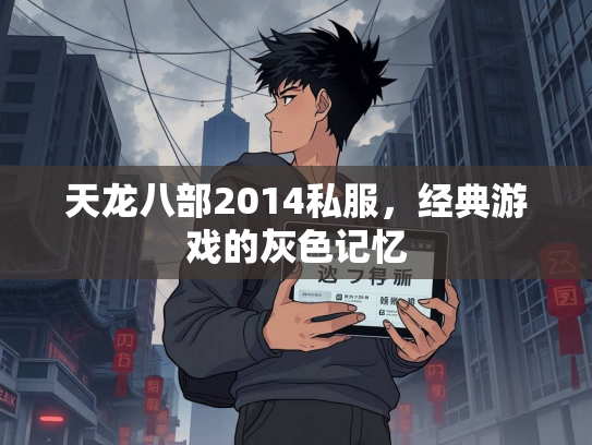 天龙八部2014私服，经典游戏的灰色记忆  第3张