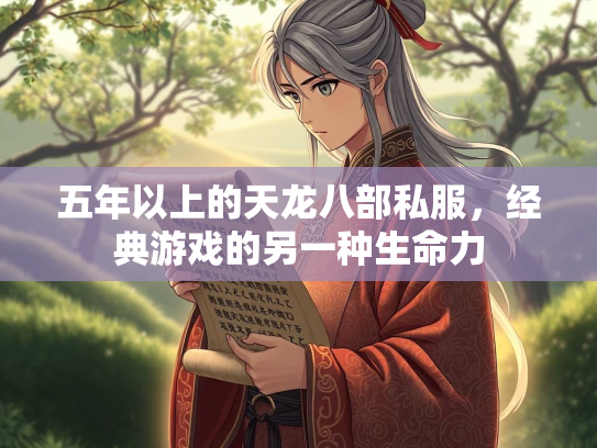 五年以上的天龙八部私服，经典游戏的另一种生命力  第2张