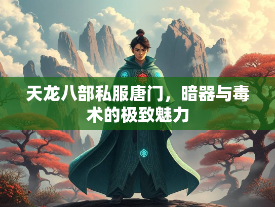天龙八部私服唐门，暗器与毒术的极致魅力