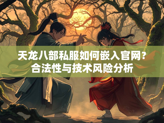 天龙八部私服如何嵌入官网？合法性与技术风险分析