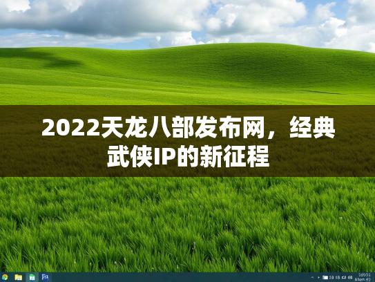 2022天龙八部发布网，经典武侠IP的新征程