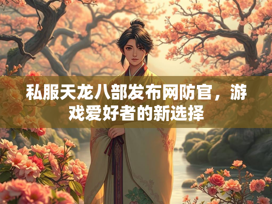 私服天龙八部发布网防官，游戏爱好者的新选择  第3张