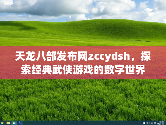 天龙八部发布网zccydsh，探索经典武侠游戏的数字世界