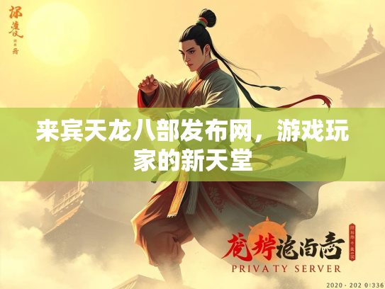 来宾天龙八部发布网，游戏玩家的新天堂