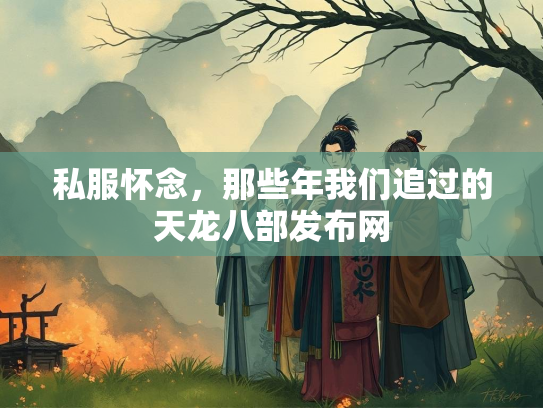 私服怀念，那些年我们追过的天龙八部发布网  第1张