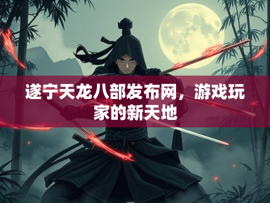 遂宁天龙八部发布网，游戏玩家的新天地