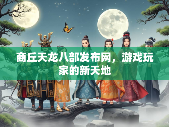 商丘天龙八部发布网，游戏玩家的新天地  第2张