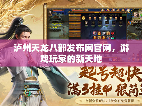 泸州天龙八部发布网官网，游戏玩家的新天地  第3张