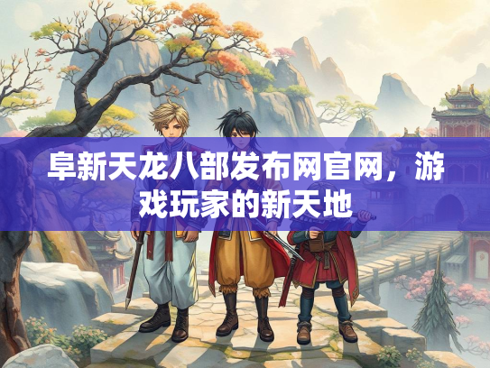 阜新天龙八部发布网官网，游戏玩家的新天地  第1张