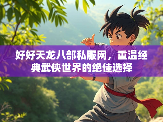好好天龙八部私服网，重温经典武侠世界的绝佳选择