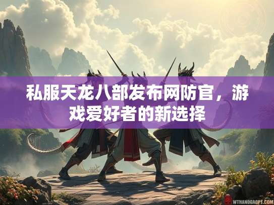 私服天龙八部发布网防官，游戏爱好者的新选择  第3张