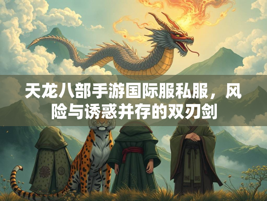 天龙八部手游国际服私服，风险与诱惑并存的双刃剑
