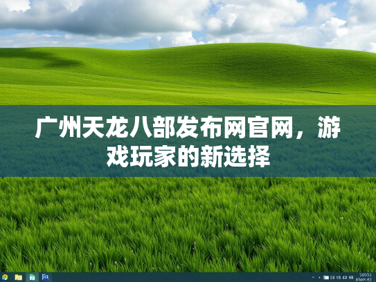广州天龙八部发布网官网，游戏玩家的新选择
