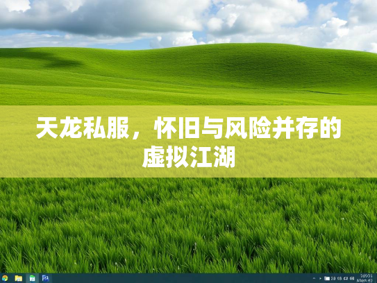 天龙私服，怀旧与风险并存的虚拟江湖  第4张