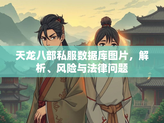 天龙八部私服数据库图片，解析、风险与法律问题