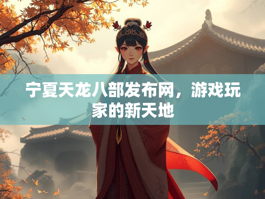宁夏天龙八部发布网，游戏玩家的新天地  第2张
