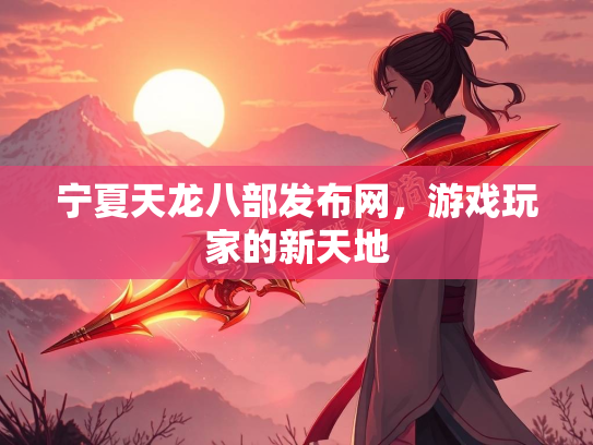 宁夏天龙八部发布网，游戏玩家的新天地  第1张