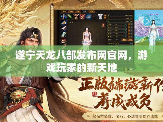 遂宁天龙八部发布网官网，游戏玩家的新天地