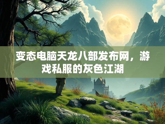 变态电脑天龙八部发布网，游戏私服的灰色江湖