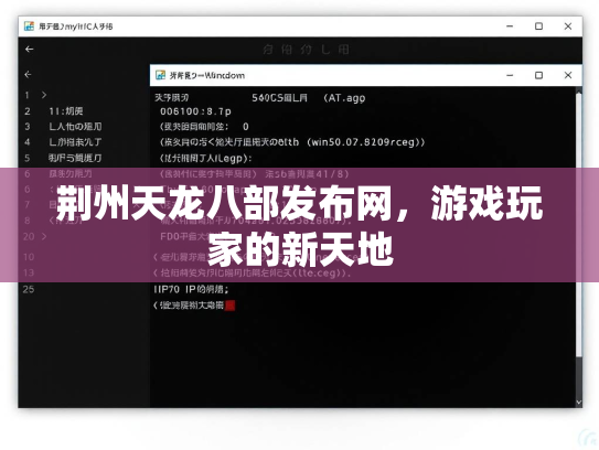 荆州天龙八部发布网，游戏玩家的新天地