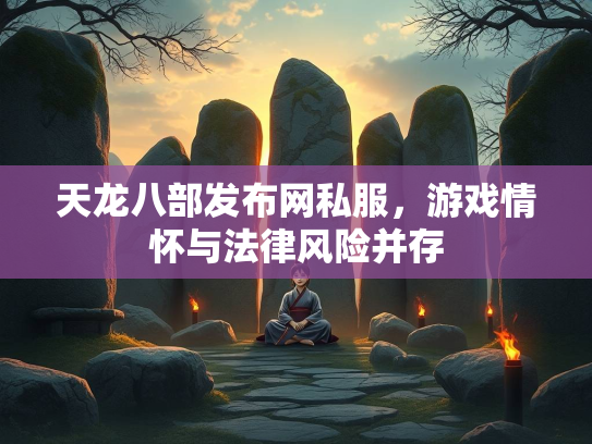 天龙八部发布网私服，游戏情怀与法律风险并存  第2张
