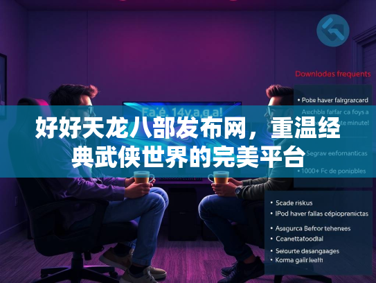 好好天龙八部发布网，重温经典武侠世界的完美平台