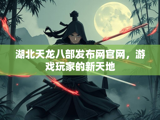 湖北天龙八部发布网官网，游戏玩家的新天地