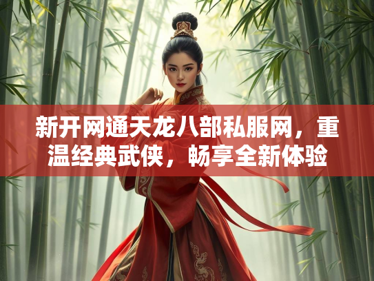 新开网通天龙八部私服网，重温经典武侠，畅享全新体验  第3张