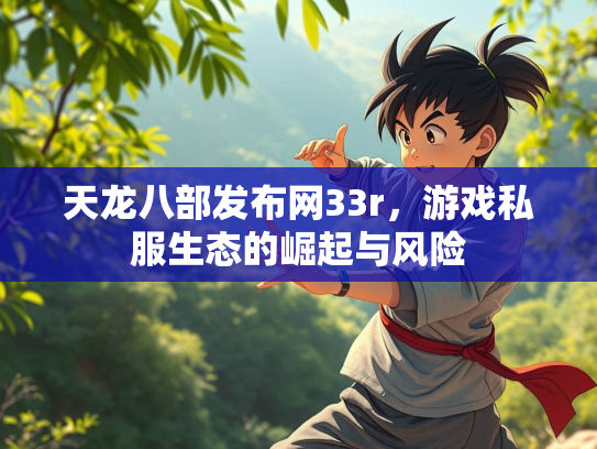 天龙八部发布网33r，游戏私服生态的崛起与风险