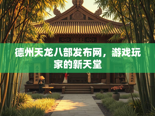 德州天龙八部发布网，游戏玩家的新天堂  第1张
