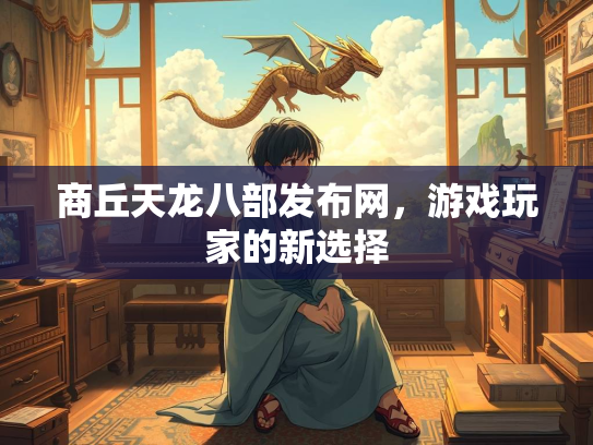 商丘天龙八部发布网，游戏玩家的新选择  第2张