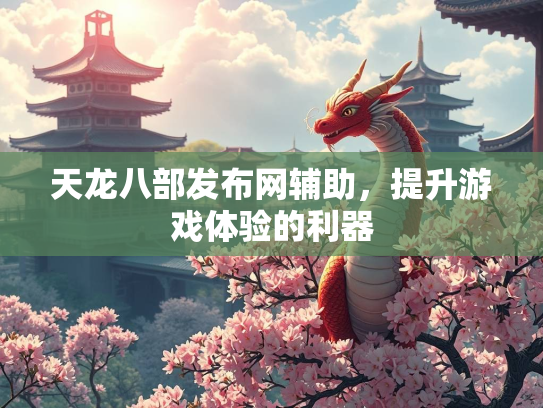 天龙八部发布网辅助，提升游戏体验的利器  第3张