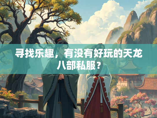 寻找乐趣，有没有好玩的天龙八部私服？