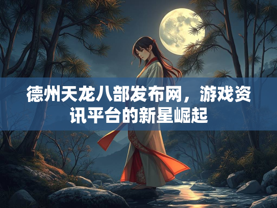 德州天龙八部发布网，游戏资讯平台的新星崛起  第2张