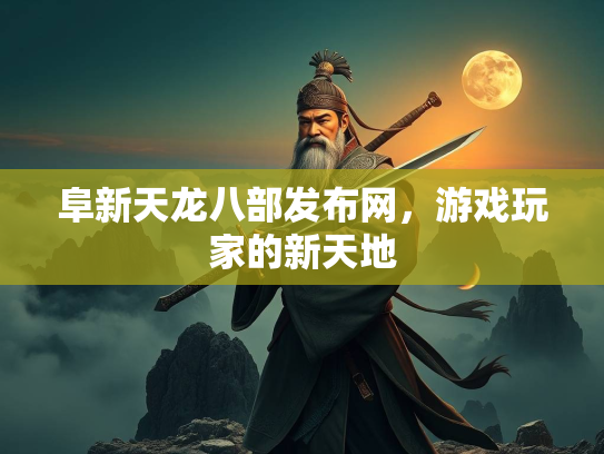 阜新天龙八部发布网，游戏玩家的新天地