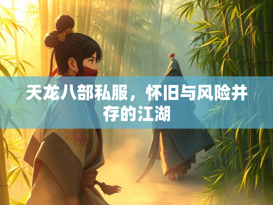 天龙八部私服，怀旧与风险并存的江湖  第2张