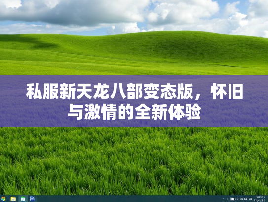 私服新天龙八部变态版，怀旧与激情的全新体验  第5张