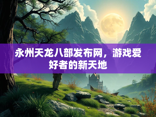 永州天龙八部发布网，游戏爱好者的新天地  第2张
