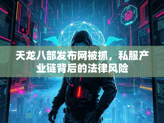 天龙八部发布网被抓，私服产业链背后的法律风险  第3张