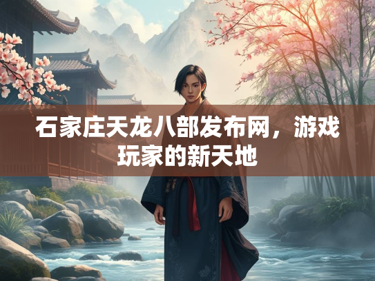 石家庄天龙八部发布网，游戏玩家的新天地  第2张