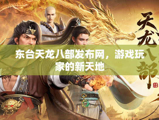 东台天龙八部发布网，游戏玩家的新天地
