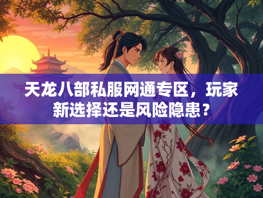 天龙八部私服网通专区，玩家新选择还是风险隐患？