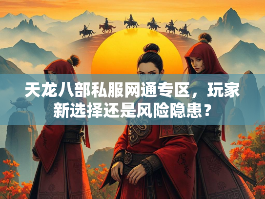 天龙八部私服网通专区，玩家新选择还是风险隐患？